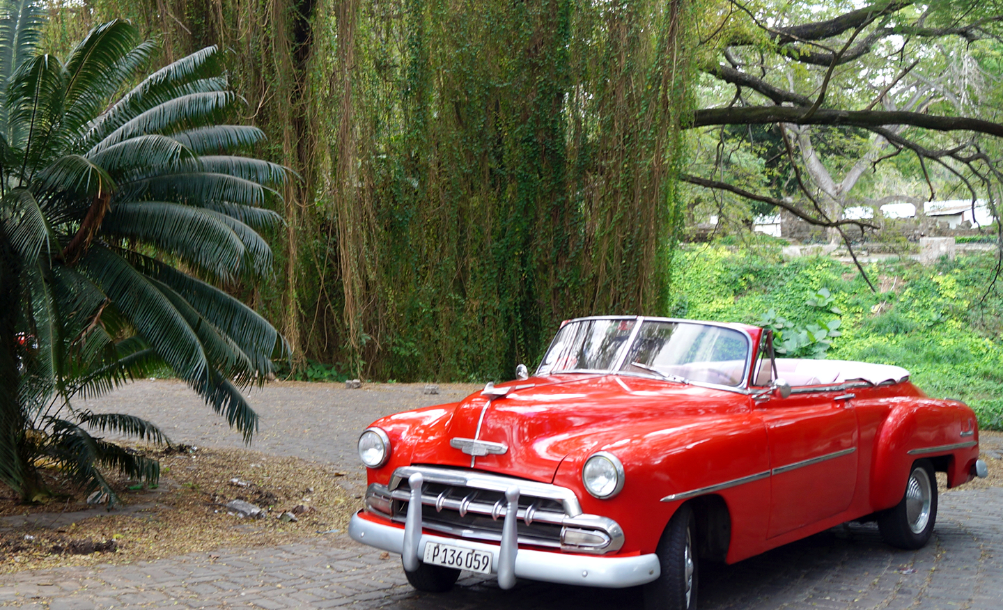 cuba old car with travel agency